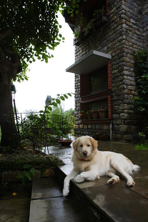 Saffronstays Himalaica, Nainital Bhowali Bagian luar foto