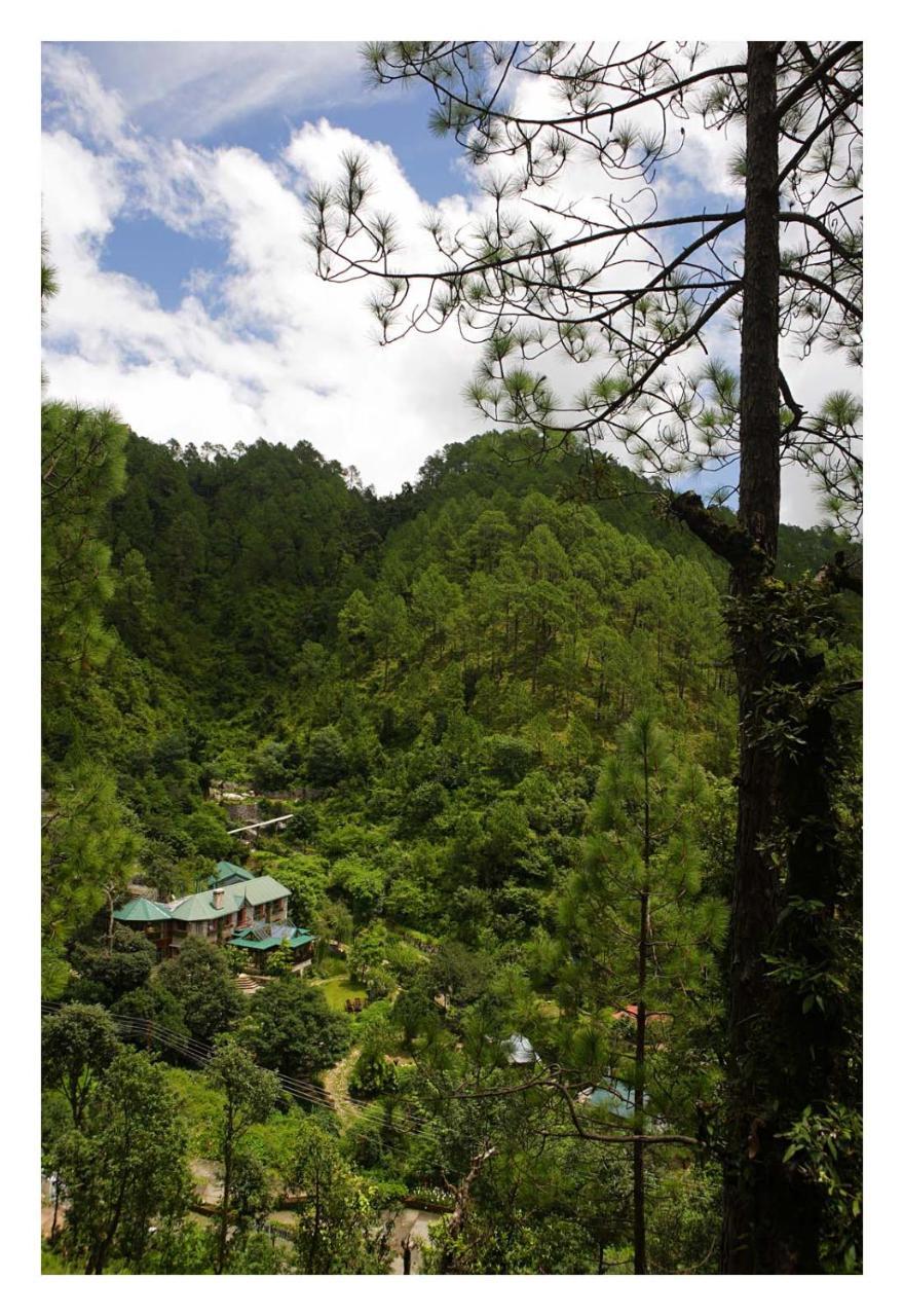 Saffronstays Himalaica, Nainital Bhowali Bagian luar foto